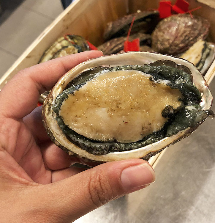 DuCoq - Abalone - 01 large