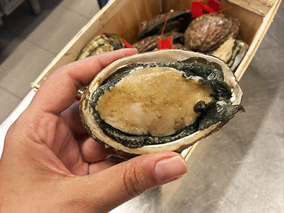 DuCoq - Abalone - 01 large