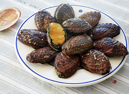 DuCoq - Abalone - 02 large