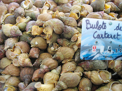 DuCoq - Bulots - 01 large