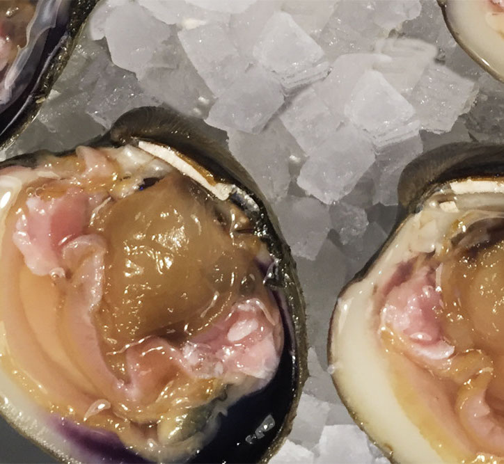 DuCoq - Clam - 02 large