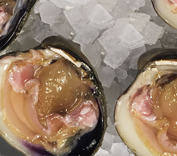 DuCoq - Clam - 02 large
