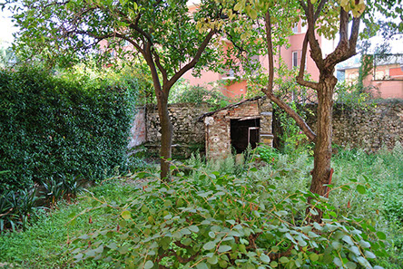 DuCoq - L'inizio - 14 large