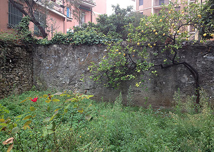 DuCoq - L'inizio - 16 large