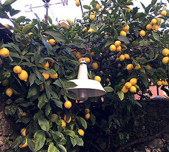 DuCoq - Santa Margherita Ligure - Il locale e lo staff - 24 large