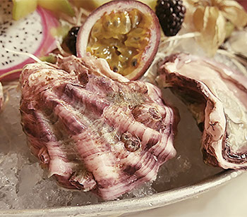 DuCoq - Tarbouriech Perle Rose - 03 large
