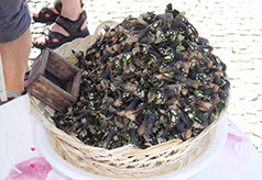 DuCoq - Percebes - 16